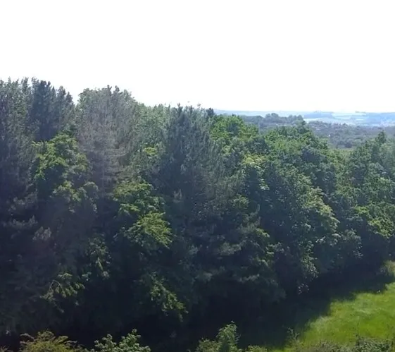 When all you see is green! #WestSwindonParish