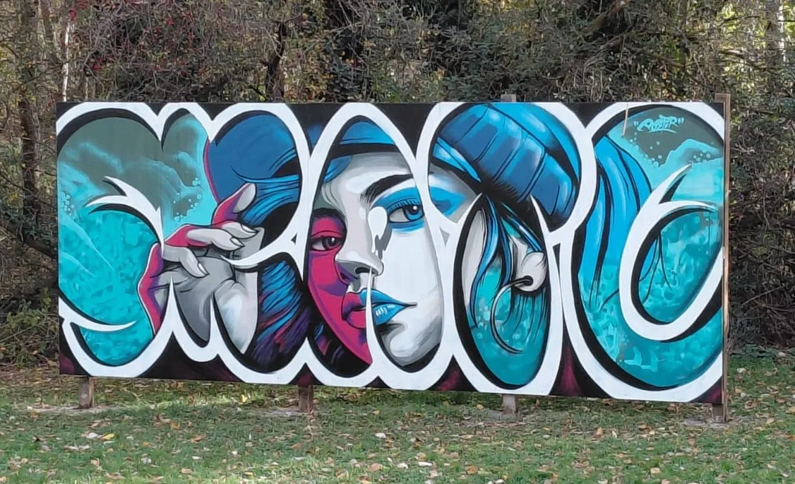 Rivermead Street Art Boards #whatwspcdidnext