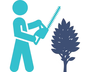 Shrub & Hedge Maintenance