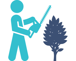 Shrub & Hedge Maintenance